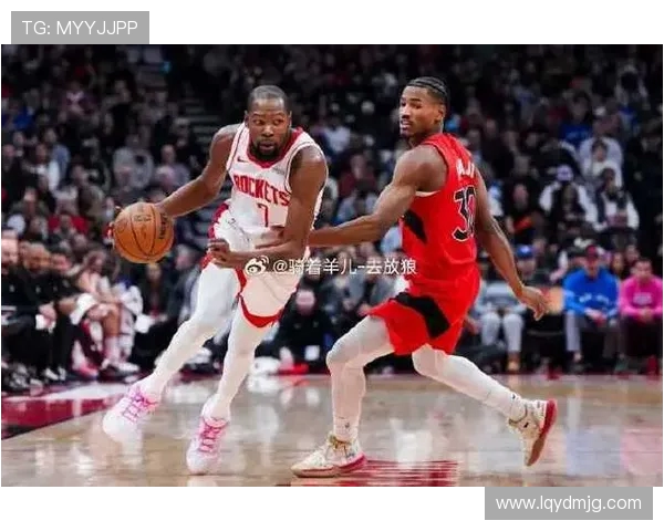 2013至2014赛季火箭队与猛龙队精彩对决回顾与分析