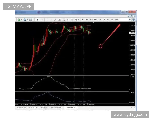 盐城湖与芝加哥对决比分揭晓精彩瞬间回顾与分析