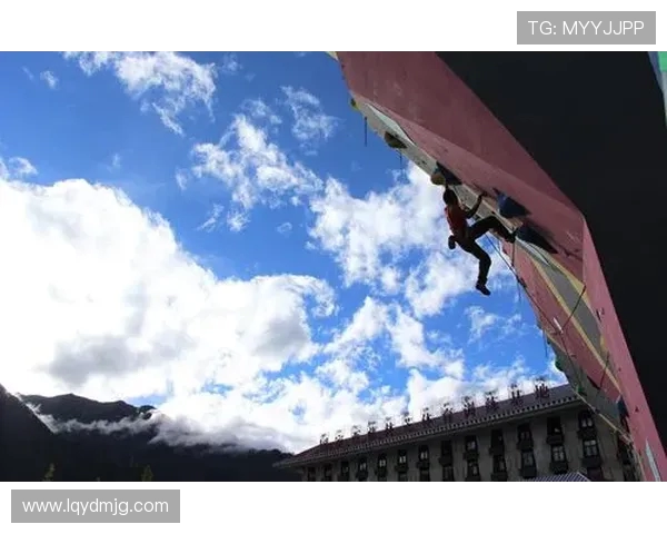 重庆攀岩队的奋斗历程与成长故事全景纪实