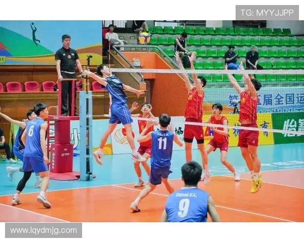 重庆排球队实力解析聚焦排球运动的崛起与发展